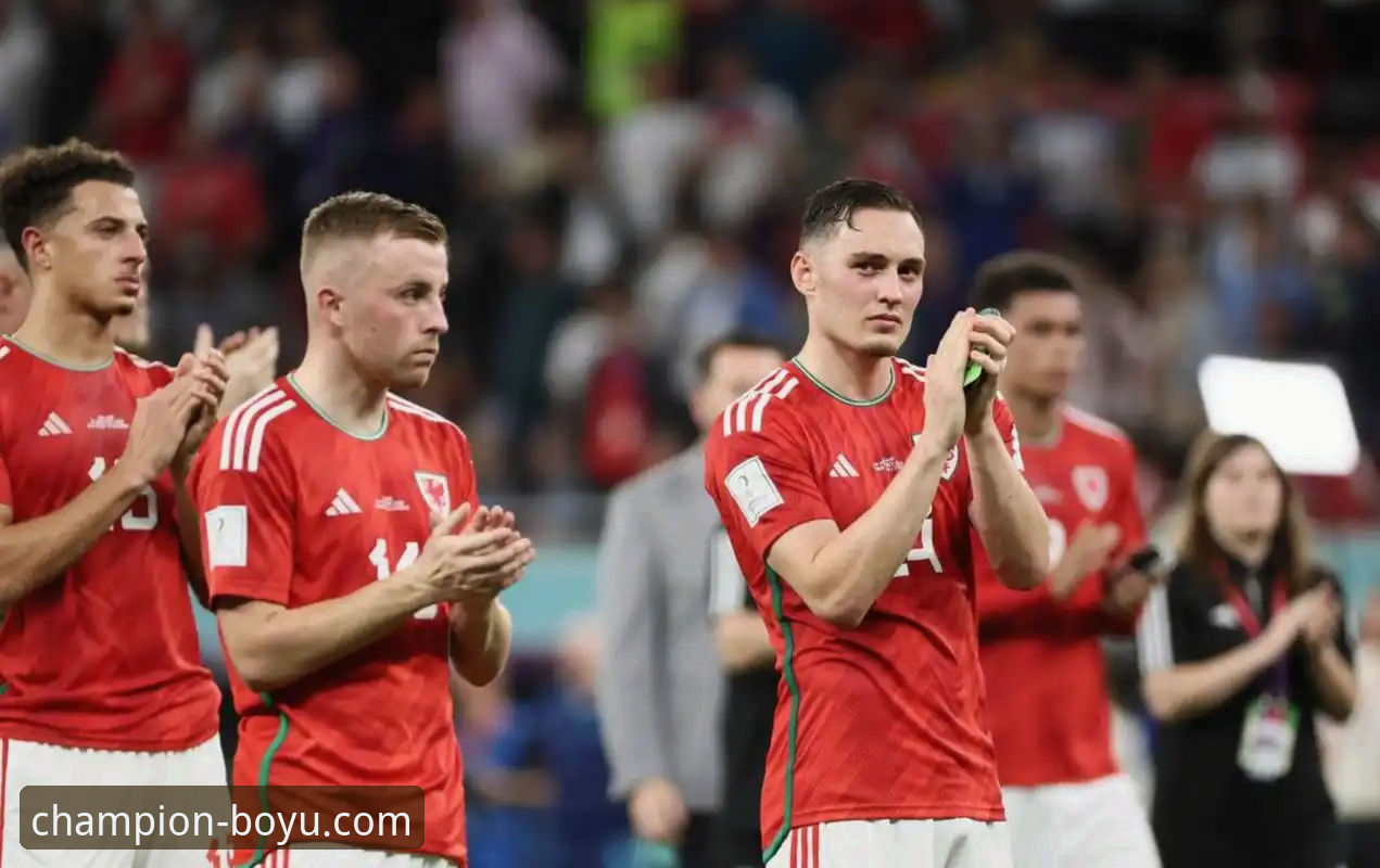 世预赛欧洲区附加赛最新战报：波黑、瑞典、捷克、土耳其锁定最后四席，世界杯48强尘埃落定